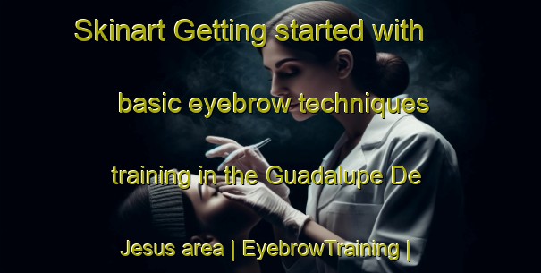 Skinart Getting started with basic eyebrow techniques training in the Guadalupe De Jesus area | EyebrowTraining | EyebrowClasses | SkinartTraining-Mexico
